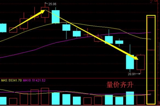 中飞股份最新动态全面解读