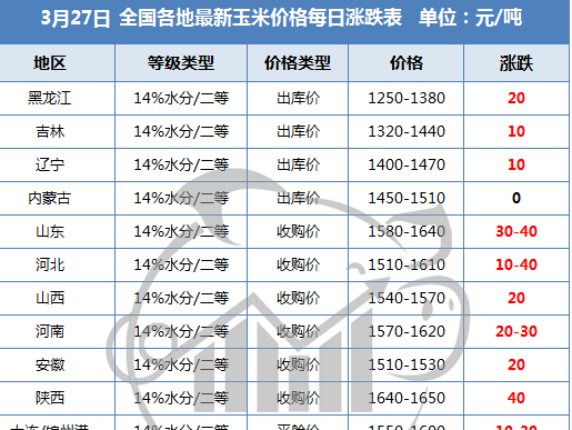 阜新玉米价格最新行情概览