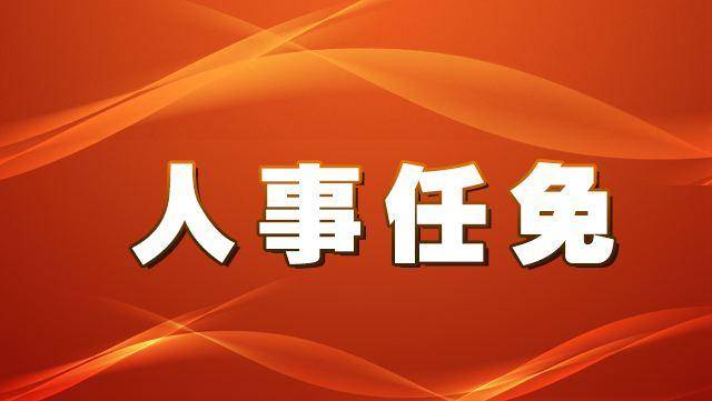 南宁市干部任免最新动态