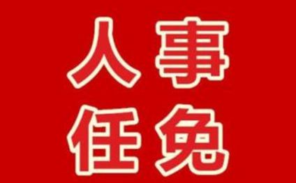 佳木斯市人事最新任免，城市发展的核心力量重塑与布局