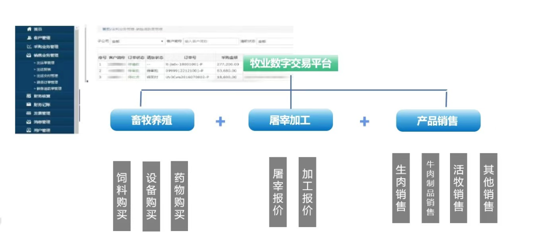 2024新澳正版免费资料,稳定性操作方案分析_精英版1.846