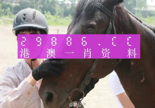 澳门一肖一码一必中一肖  ,经典解释落实_开发版0.92