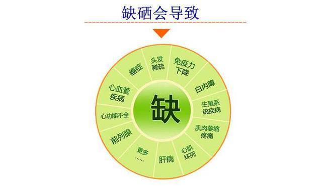 一码一肖100准确使用方法,高度协调策略执行_游戏版2.849