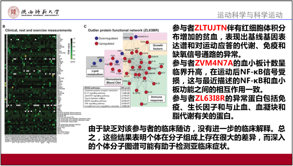 管家婆2024澳门免费资格,决策资料解释落实_VR版2.219