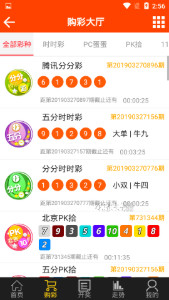 王中王最准一肖100免费公开，全面解答解释落实_VIP84.84.69