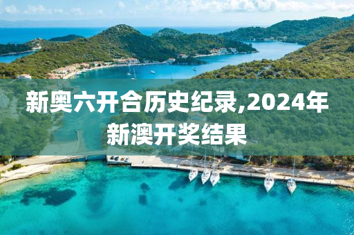 2024新奥历史开奖记录，最新热门解答落实_app48.86.4