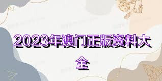 2023年正版澳门全年免费资料,完善的执行机制解析_轻量版9.675