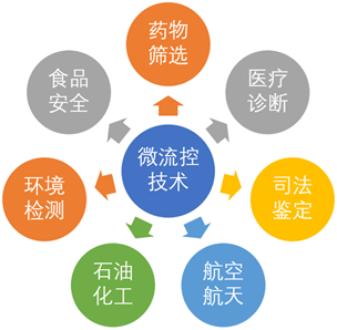 2024新澳精准正版资料,完善的执行机制解析_入门版2.928