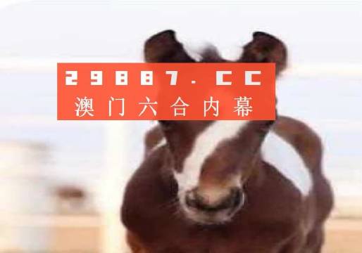 澳门一肖一码一,动态词语解释落实_开发版1