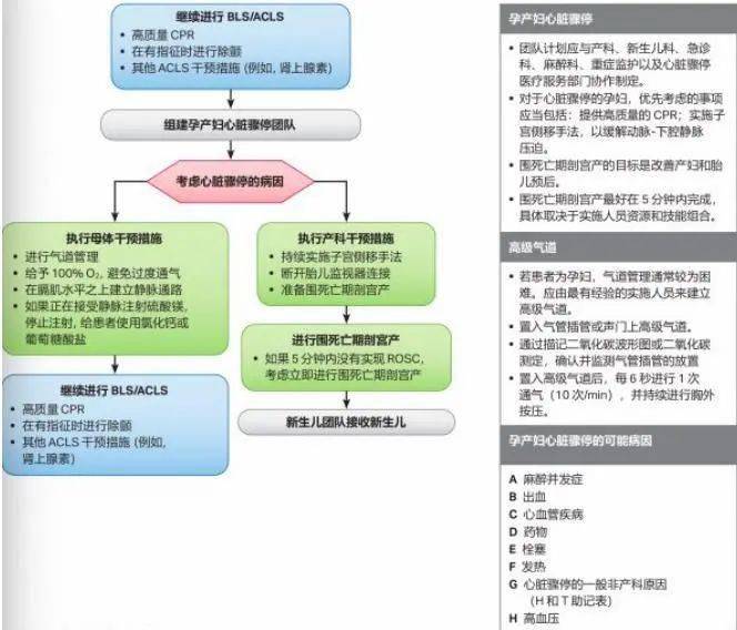 心肺复苏最新指南，拯救生命的操作手册全面解析