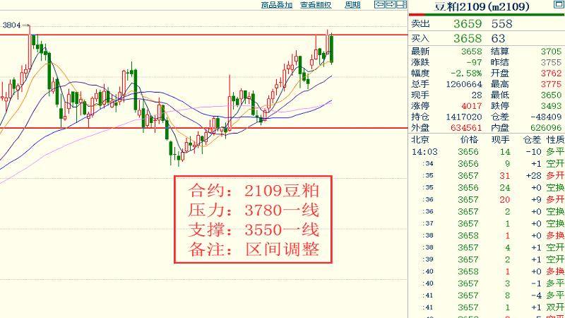 渐澳门一码一肖一持一,经典解释落实_豪华版6.23