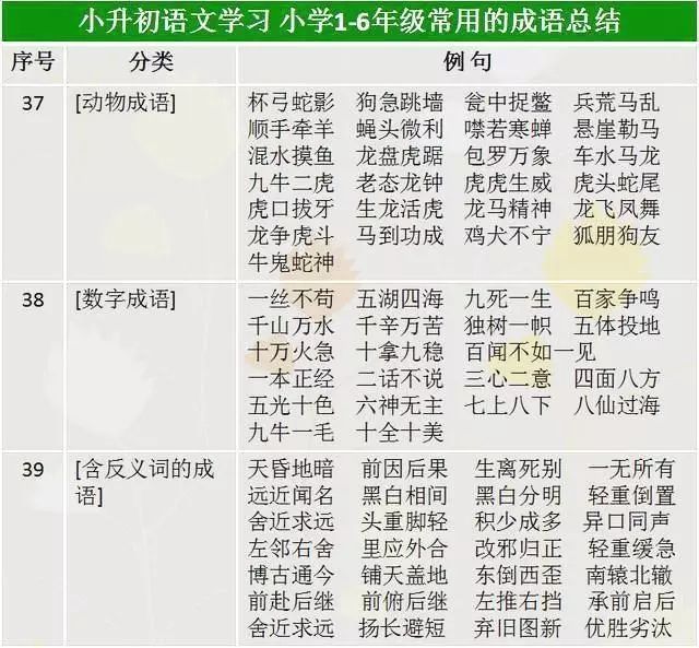 4949免费资料2024年,确保成语解释落实的问题_精简版105.220