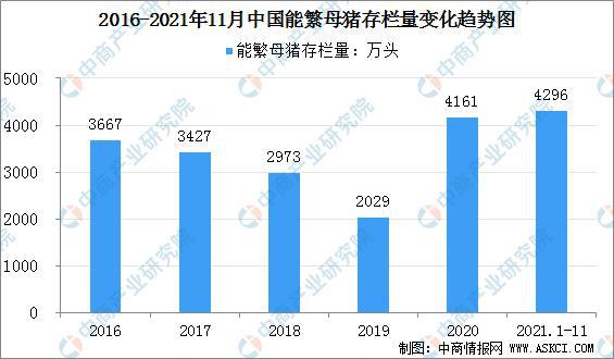 母猪存栏最新数据分析报告发布，揭示最新趋势与洞察