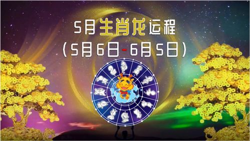 今期生肖一一开指的什么生肖,高速响应设计策略_静态版15.941