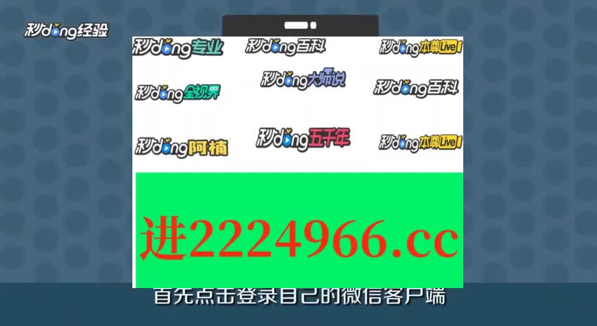 王中王一肖一特一中一澳,多元化策略执行_策略版24.799