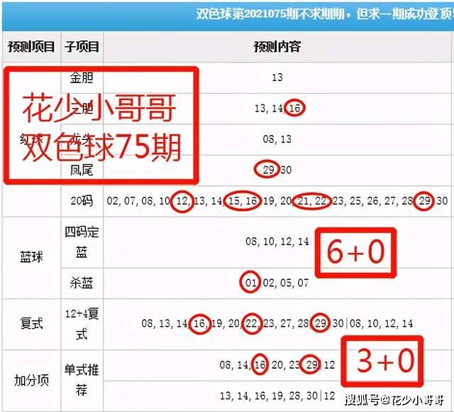 白小姐今晚特马期期准六,精细化说明解析_SHD25.989