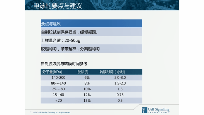 澳门一码一码100%,正确解答落实_ios3.283