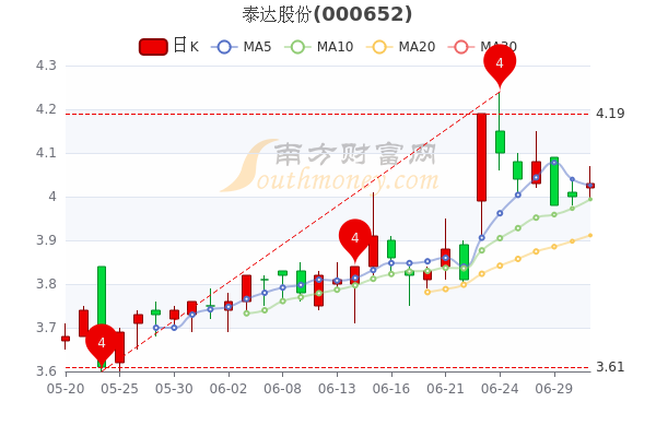 泰达股份最新消息全面解读与分析