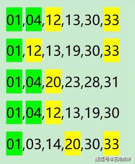 一肖一码100-准资料,实地数据评估解析_SE版65.953