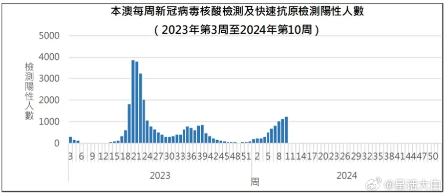 2024年11月8日 第81页