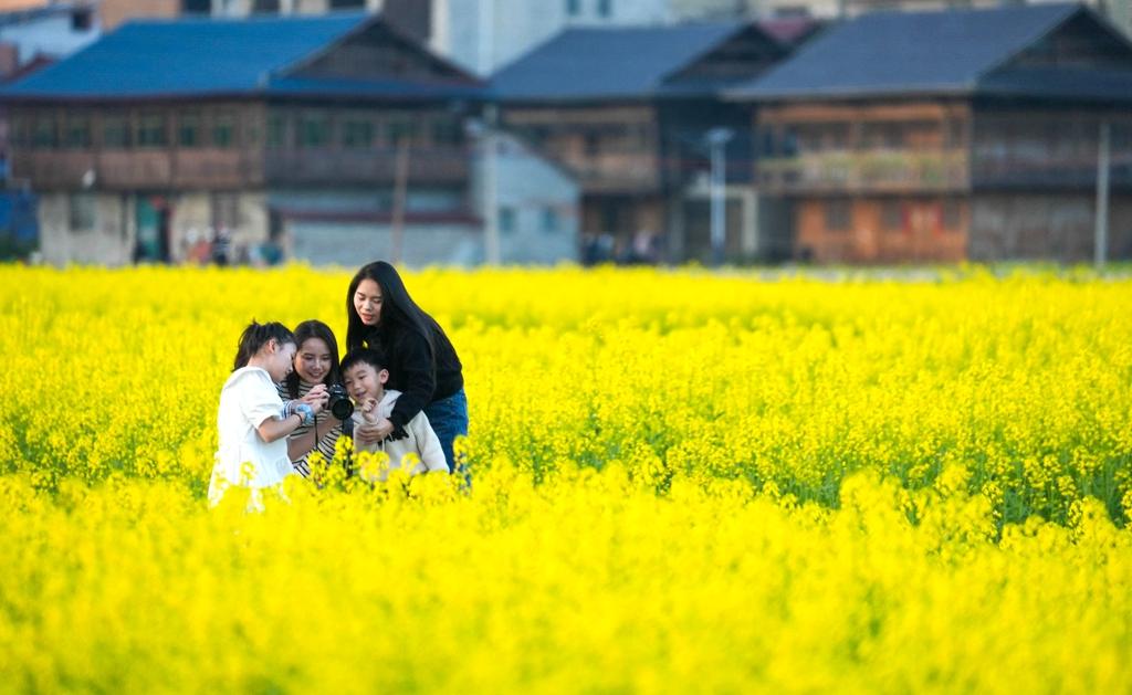 2024澳门跑马图免费,广泛的关注解释落实热议_游戏版6.336