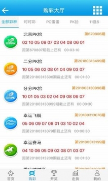 2024年澳门王中王100,高速响应方案设计_RemixOS87.672