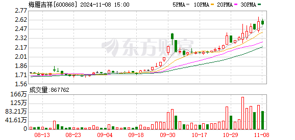 梅雁吉祥最新动态，繁荣与发展的未来展望