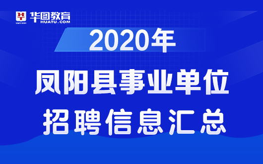 凤阳最新招工信息详解