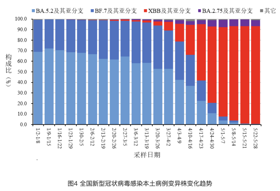 今日全国疫情最新数据概览，最新统计数据与趋势分析