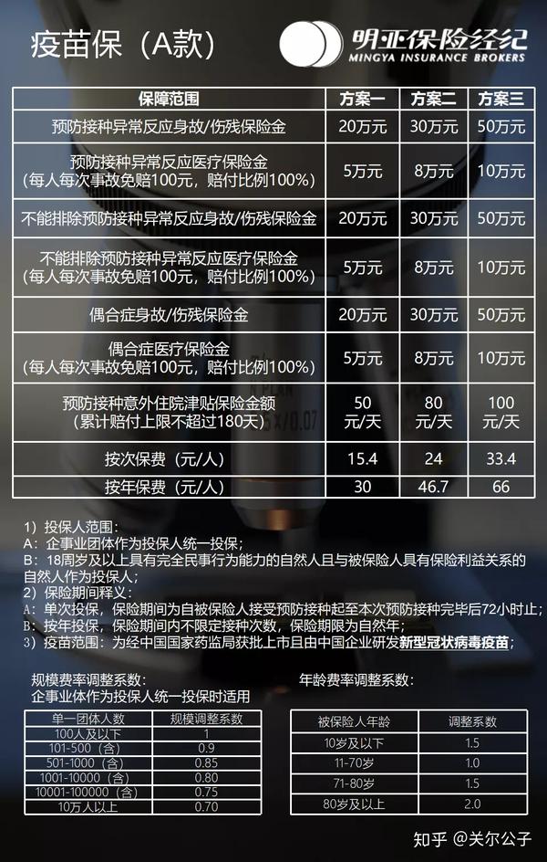 保险粉最新价格动态解析