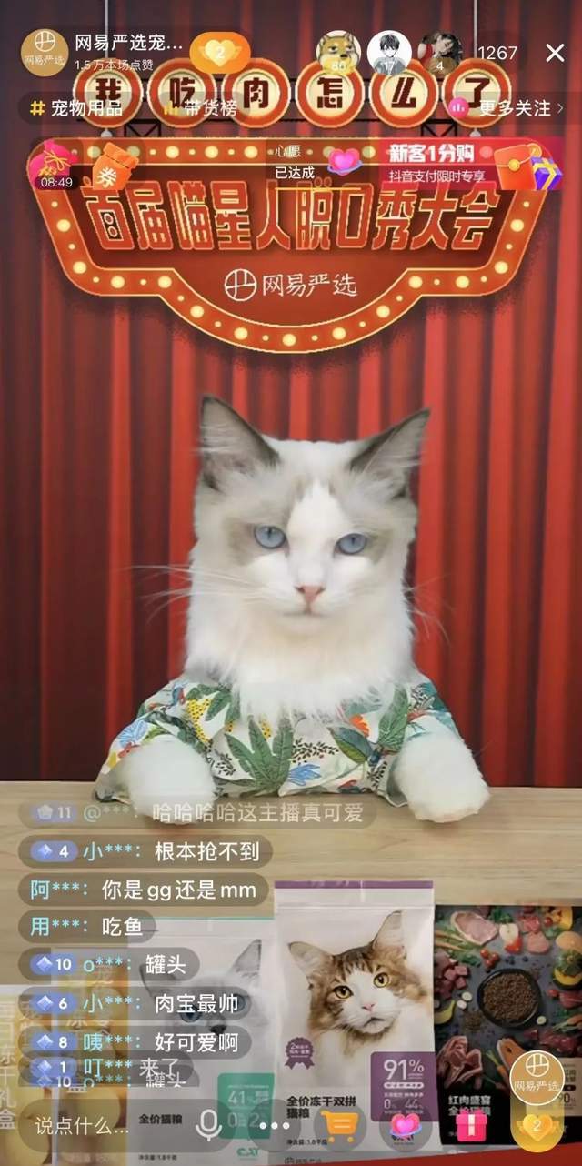 猫咪直播最新破解版犯罪问题探讨，法律红线下的直播乱象解析