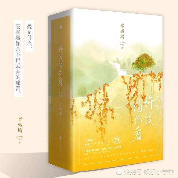 辛夷坞最新小说探秘，揭开神秘面纱的奇幻之旅