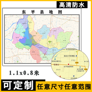 东平县全新地图概览