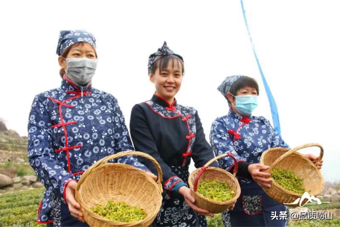 青岛崂山，自然美景与人文历史的交融之地最新报道