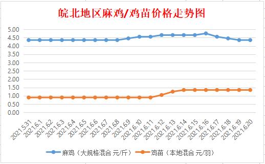 2024年11月11日 第5页