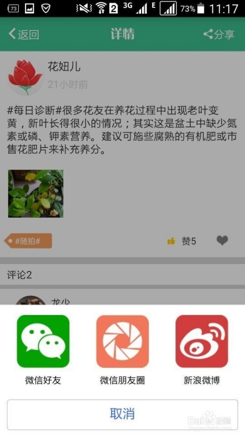 花开app最新版下载，全新功能与特色体验