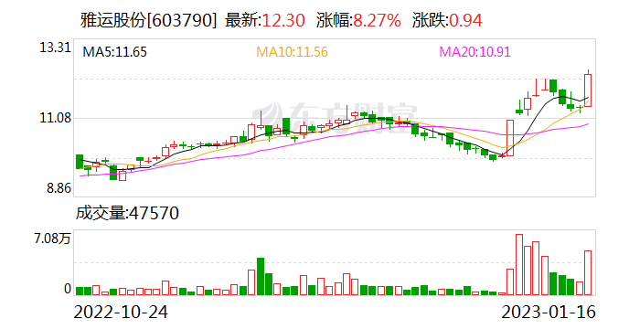 雅运股份最新消息全面解读与分析