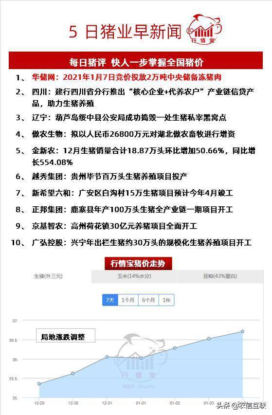 最新猪价交流及市场趋势分析与应对策略探讨