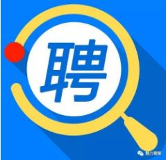 黄陂最新招聘动态及其地区就业市场影响分析