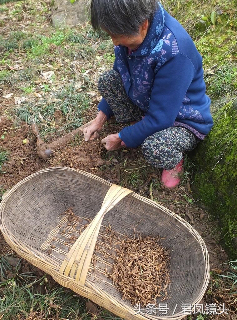 久草最新地址获取器的探讨与风险警示