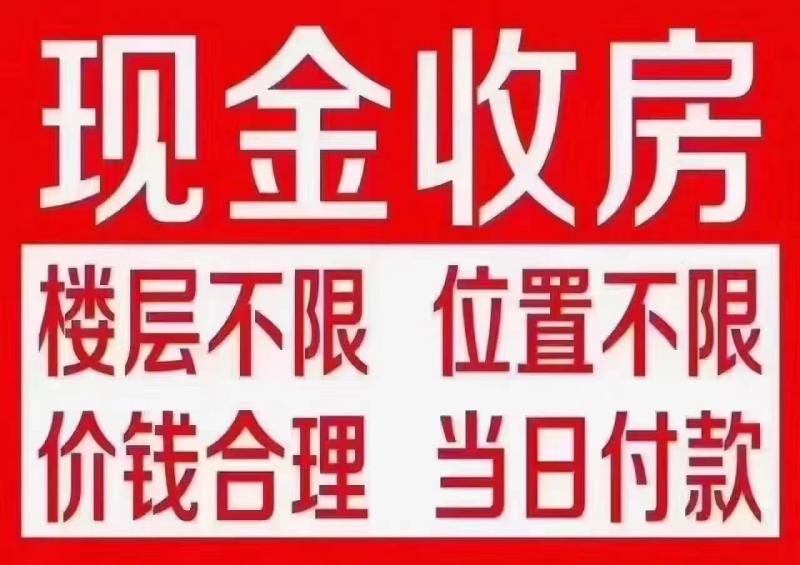 2024年11月19日 第47页