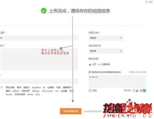 探索多元化内容世界的最新40个视频