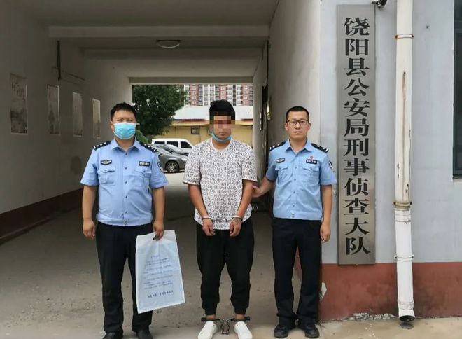 饶阳最新刑事案件深度剖析