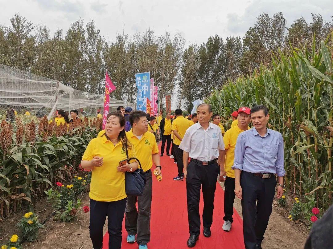 赤峰谷子最新价格，市场分析与预测报告