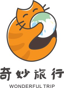 奇妙集团引领变革，共创未来新篇章