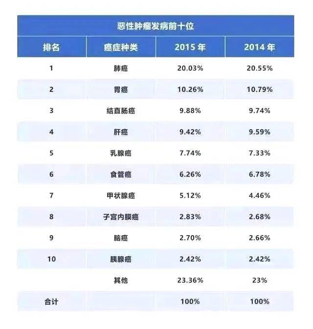 最新单职业排行揭示当下职业发展趋势