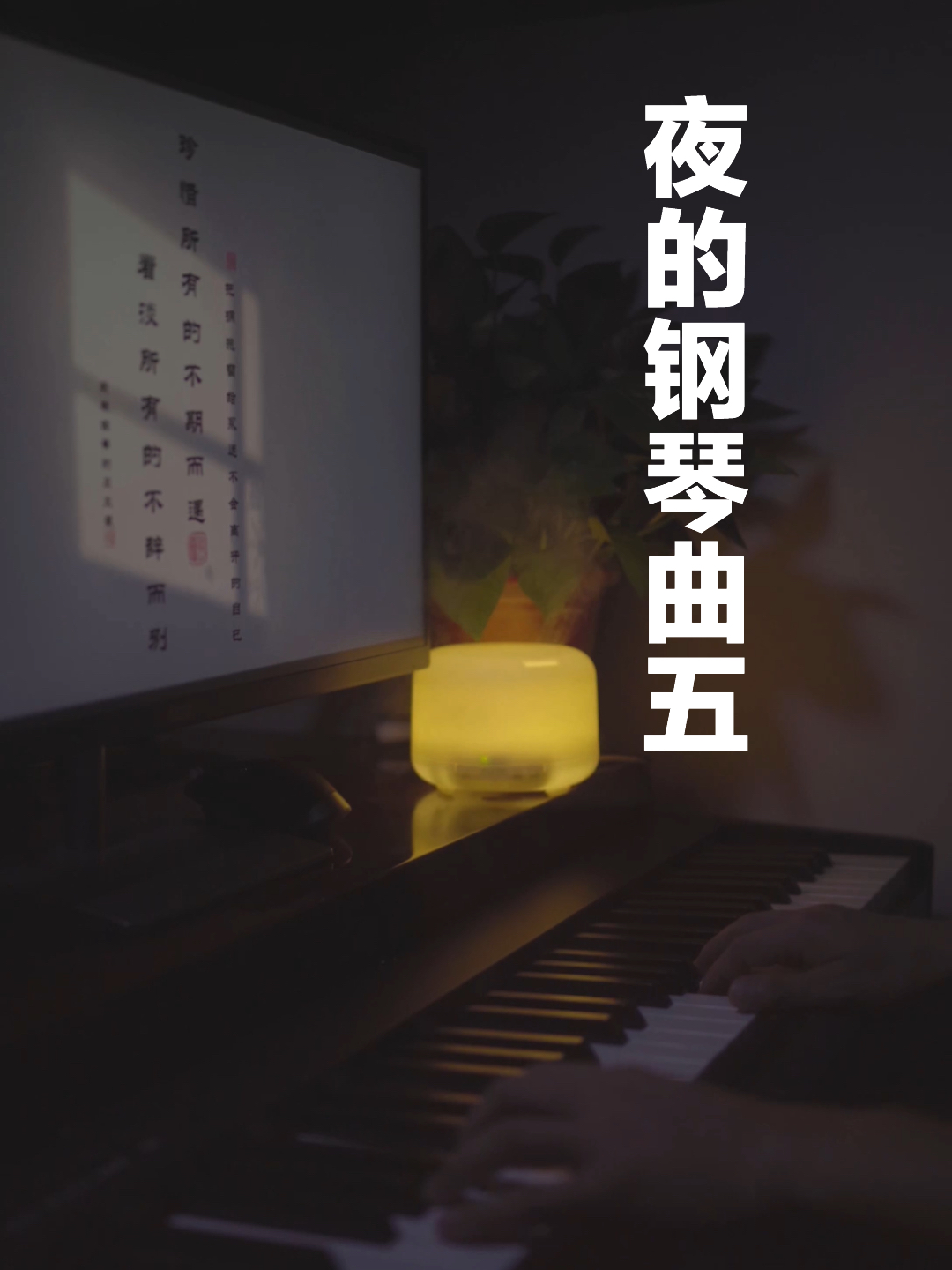 夜的钢琴曲五，宁静深远的音乐之旅及MP3格式轻松下载指南