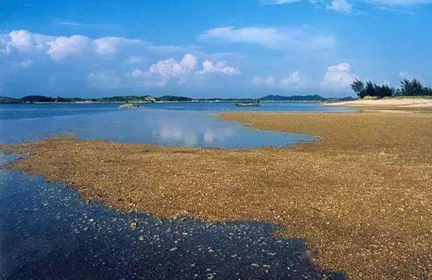 钦州麻蓝岛旅游攻略，探秘海岛魅力，尽享旅游胜地风情