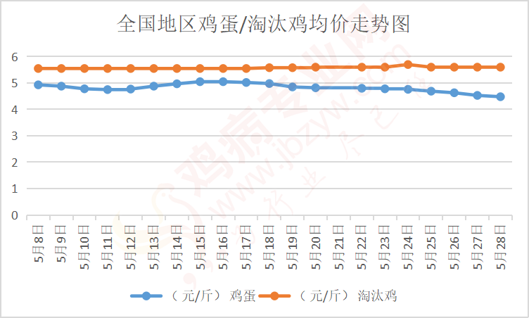 鸡蛋最新价格及走势分析