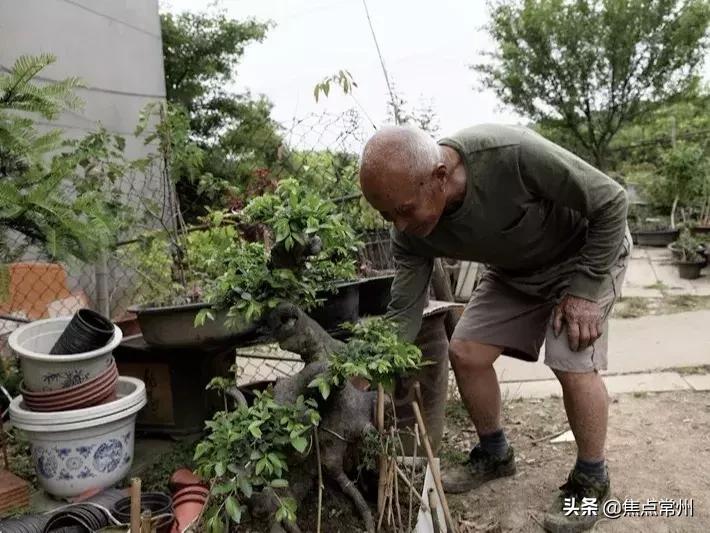 传奇炮王下载，游戏世界魅力探索之旅